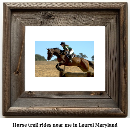 horse trail rides near me in Laurel, Maryland